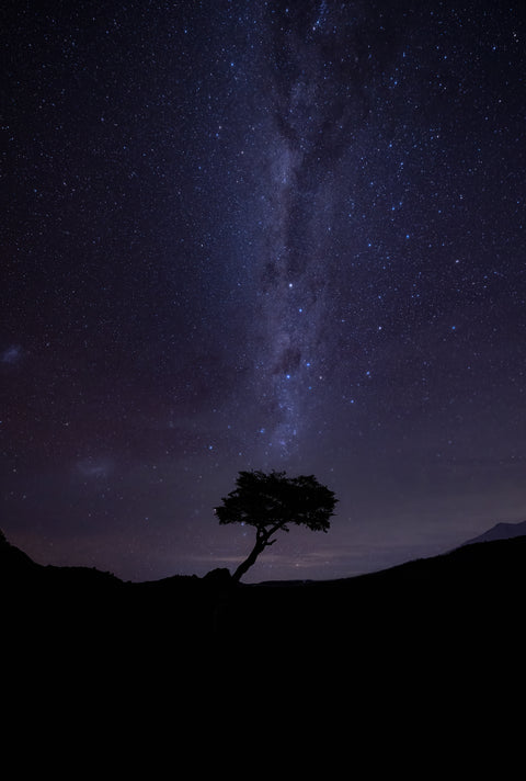 Under the stars