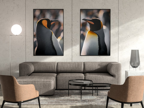 King Penguin